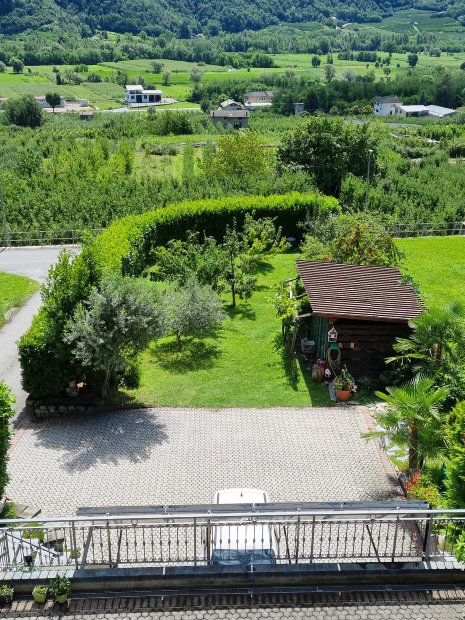 B&B Il Grappolo Bianzone Exterior foto
