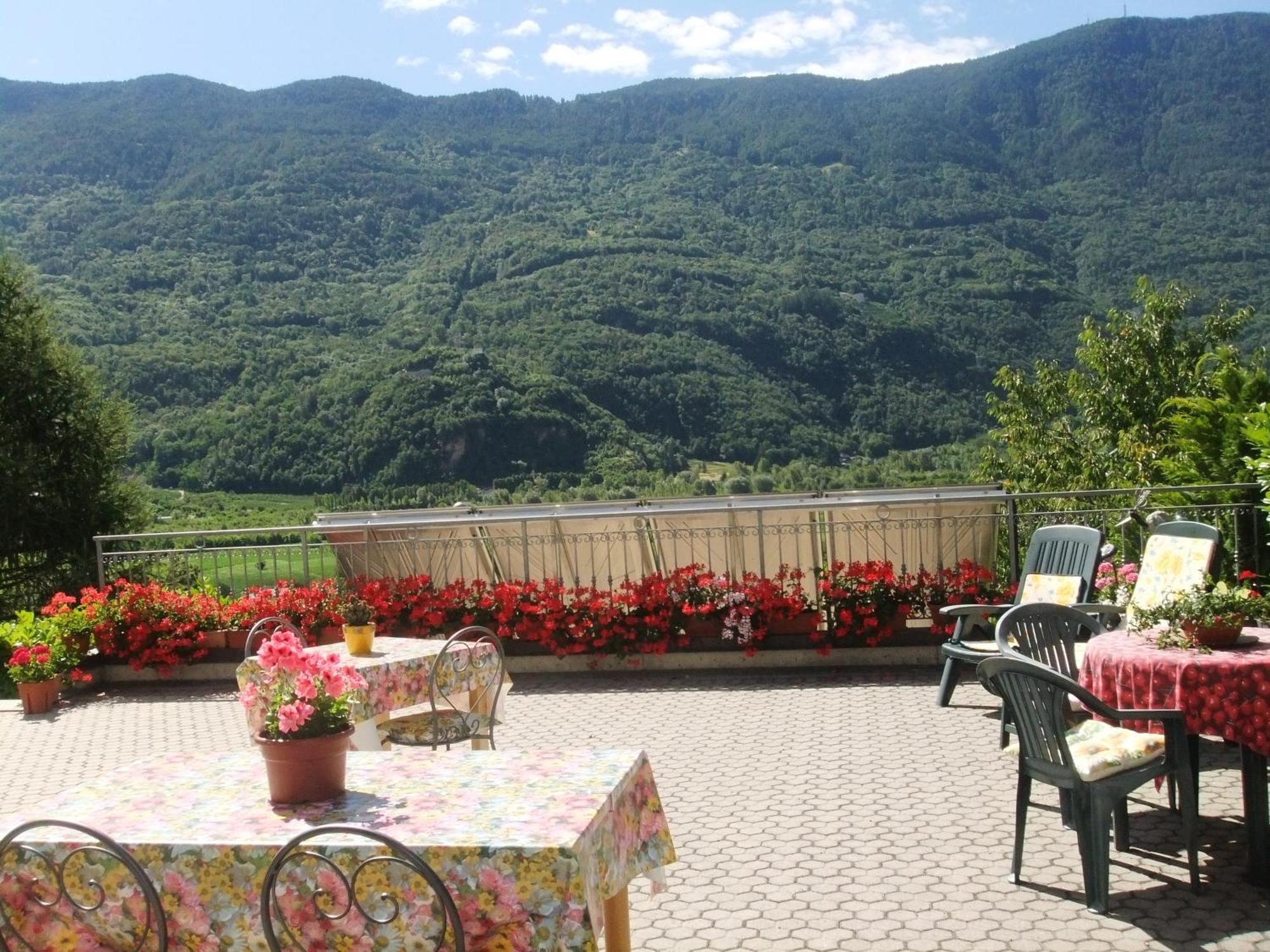 B&B Il Grappolo Bianzone Exterior foto